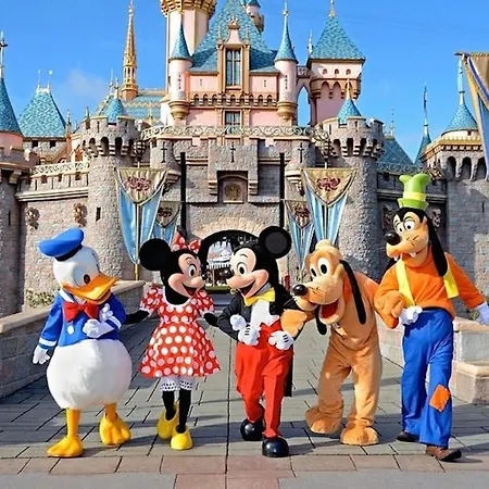Standing 6 Personnes Disneyland Paris * Serris